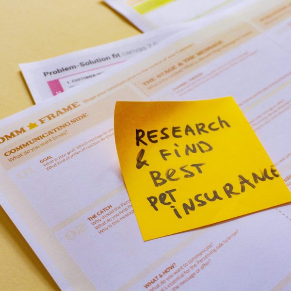 daria nepriakhina pvks 6 cckw unsplash